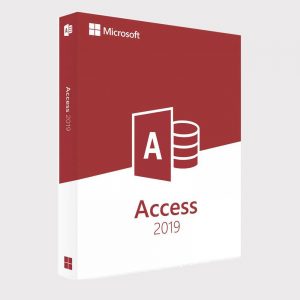Microsoft access 2019