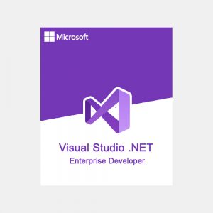 visual-studio-net-enterprise-developer